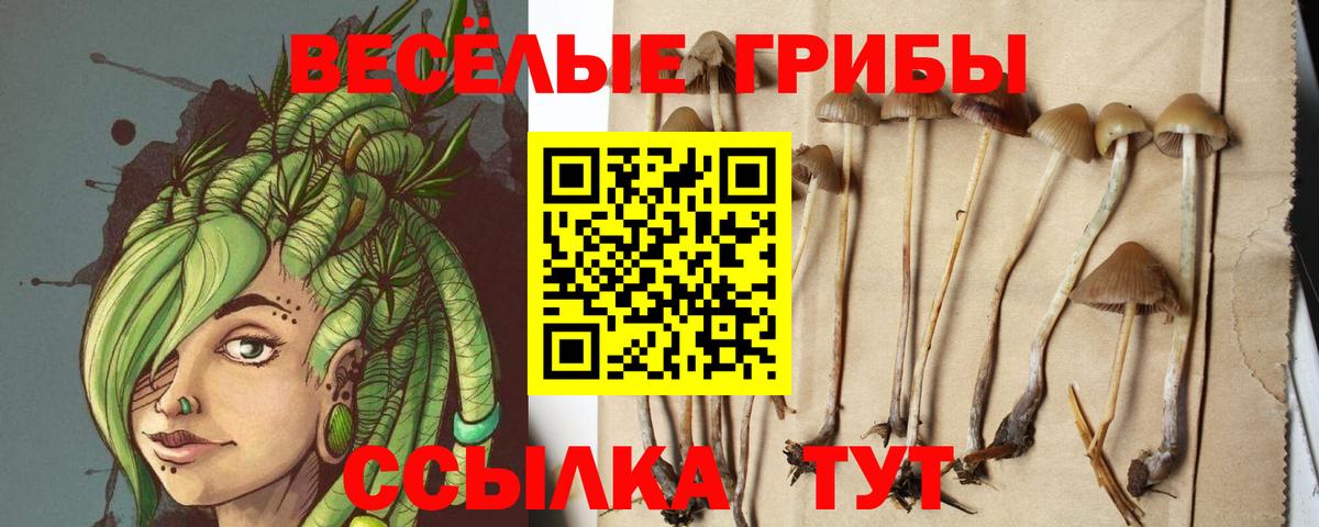 Галлюциногенные грибы мицелий Кореновск