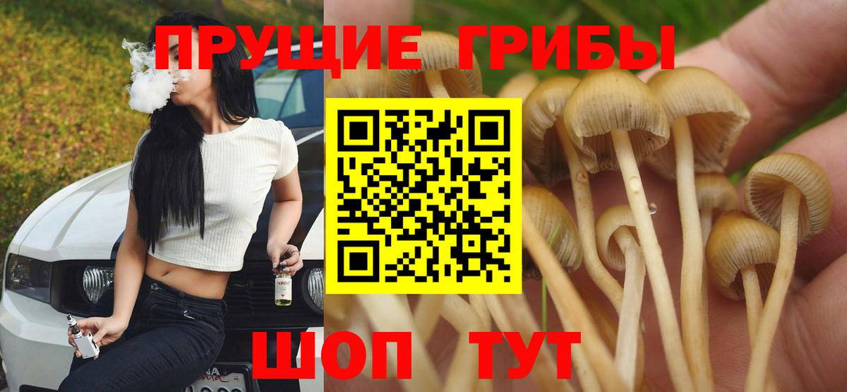 Псилоцибиновые грибы GOLDEN TEACHER  Вход с VPN  Кореновск 